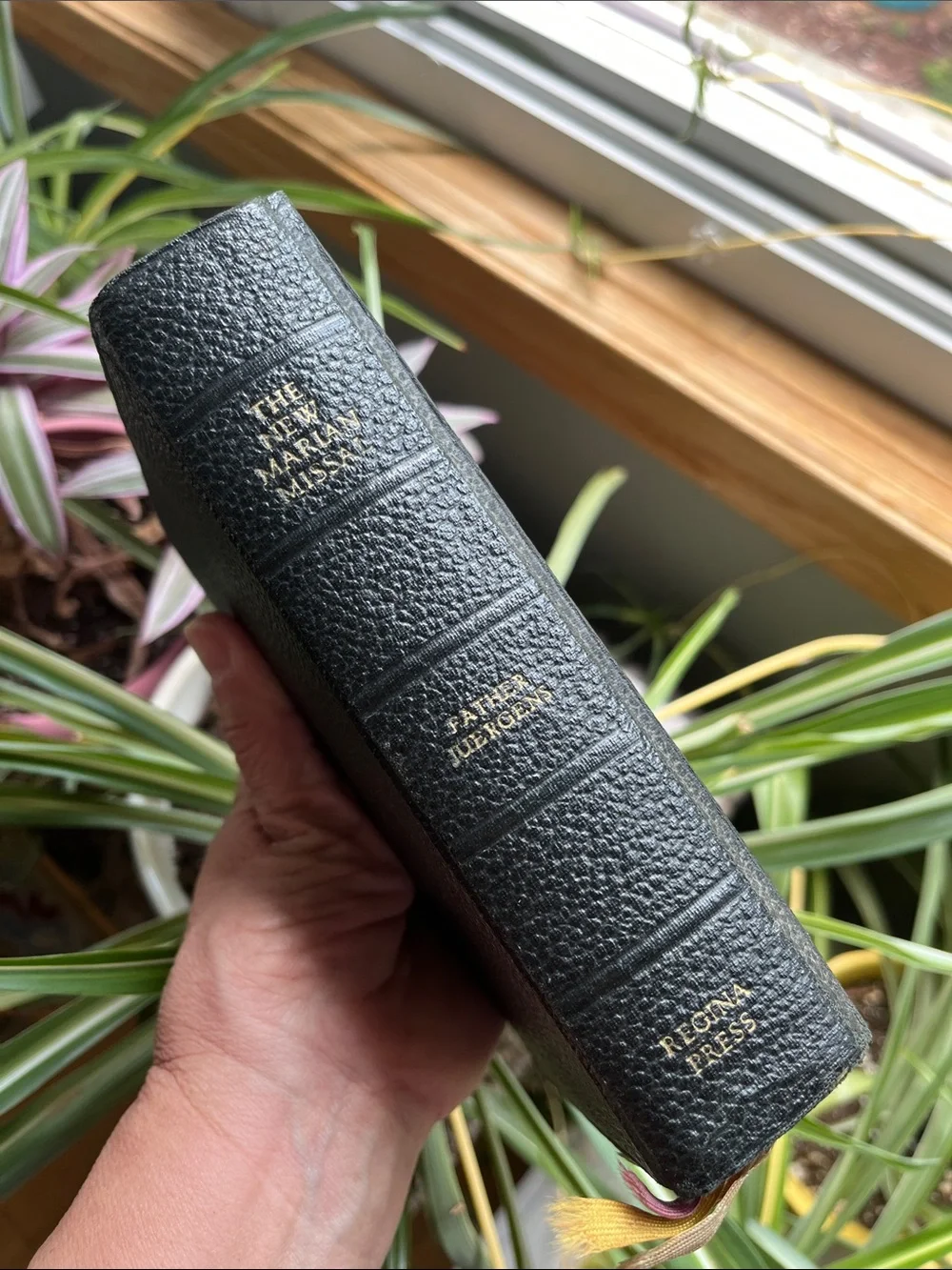 The New Marian Missal Daily Mass Vtg 1950s Latin Sylester Juergens Regina Press